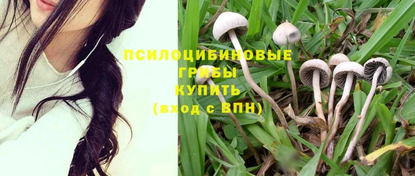 трава Лабытнанги