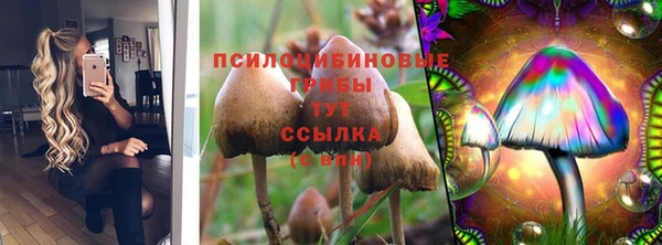 герыч Лиски