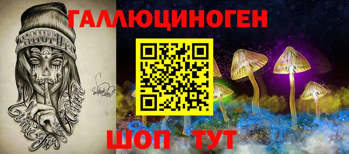 Галлюциногенные грибы Cubensis  Вход с VPN  Чайковский 