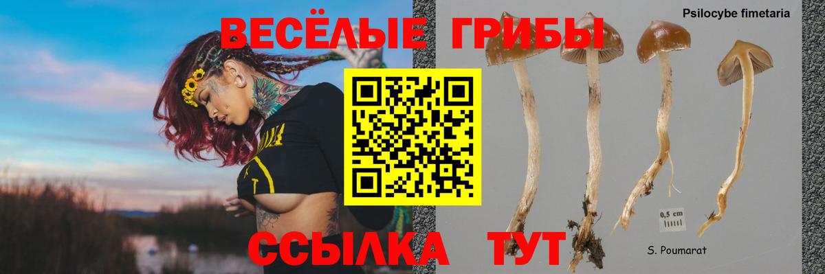 Галлюциногенные грибы прущие грибы Чайковский